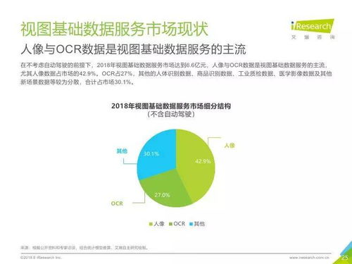 中國人工智能基礎(chǔ)數(shù)據(jù)服務(wù)行業(yè)報告 驅(qū)動軟件開發(fā)的未來引擎